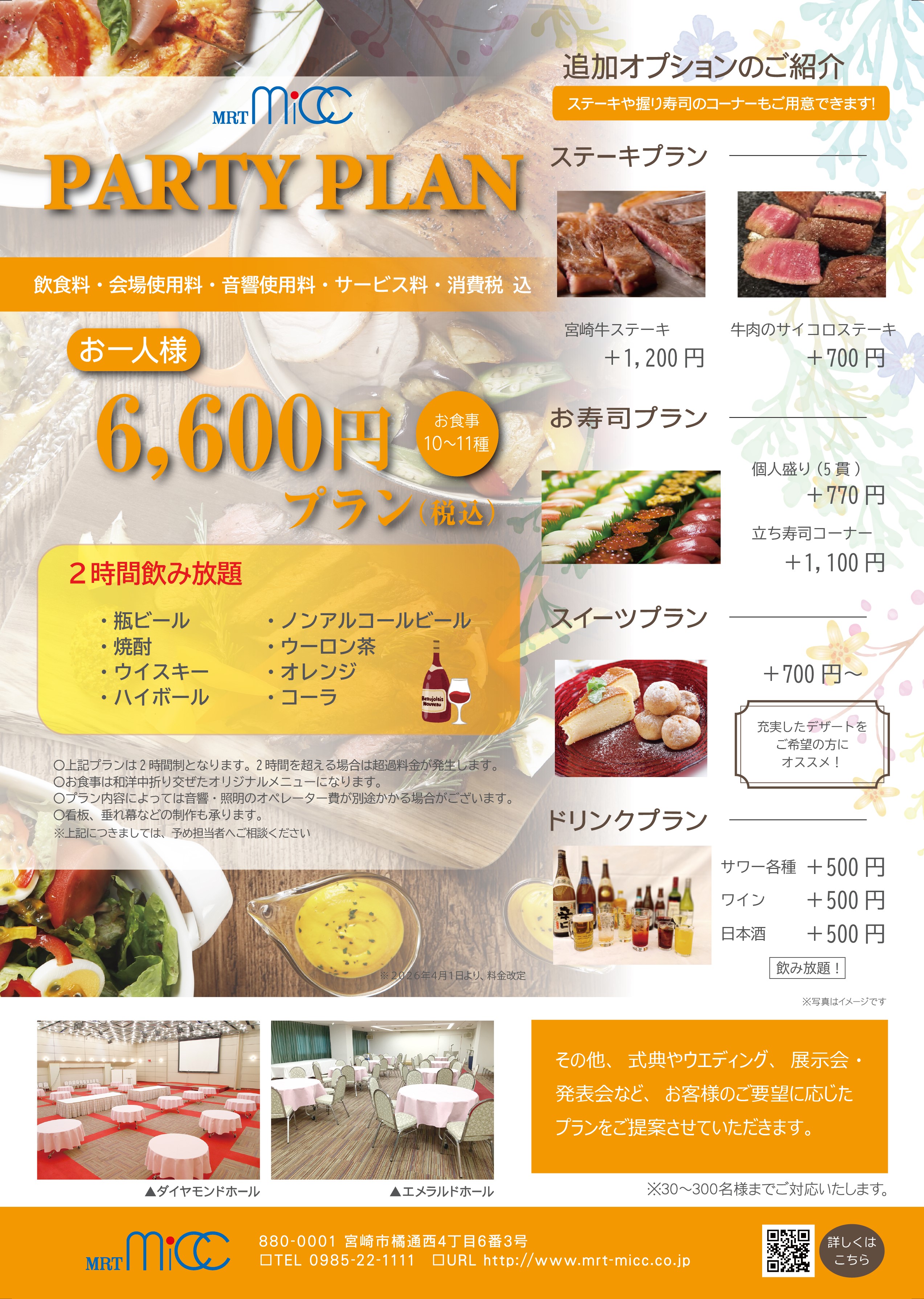 PARTY PLAN